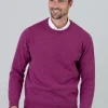 Gordon 1 Ply Geelong Crew Neck - Loganberry