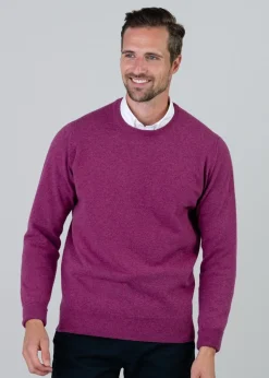 Gordon 1 Ply Geelong Crew Neck - Loganberry