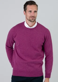 Gordon 1 Ply Geelong Crew Neck - Loganberry