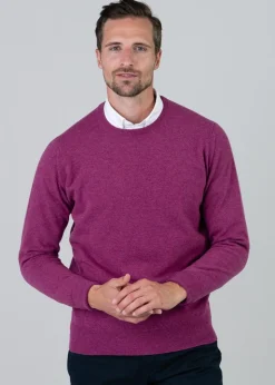 Gordon 1 Ply Geelong Crew Neck - Loganberry