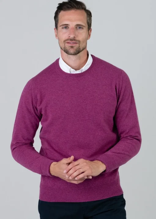 Gordon 1 Ply Geelong Crew Neck - Loganberry