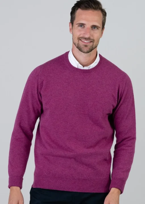Gordon 1 Ply Geelong Crew Neck - Loganberry