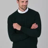 Leven 2 Ply Lambswool Crew Neck Plus Size - Bottle