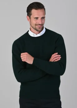 Leven 2 Ply Lambswool Crew Neck Plus Size - Bottle