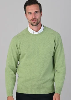 Leven 2 Ply Lambswool Crew Neck Plus Size - Kiwi