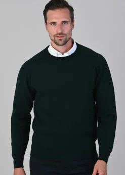 Leven 2 Ply Lambswool Crew Neck Plus Size - Bottle