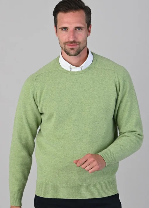 Leven 2 Ply Lambswool Crew Neck Plus Size - Kiwi
