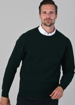 Leven 2 Ply Lambswool Crew Neck Plus Size - Bottle