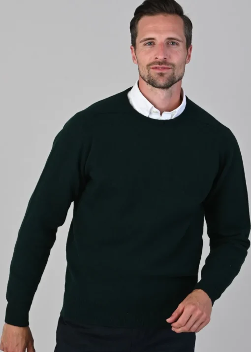 Leven 2 Ply Lambswool Crew Neck Plus Size - Bottle