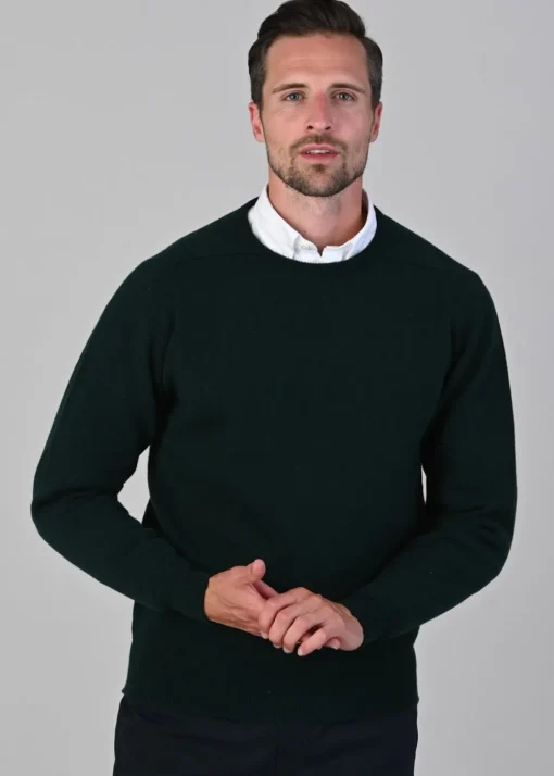 Leven 2 Ply Lambswool Crew Neck Plus Size - Bottle