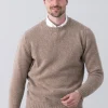 Longford Crew Neck - Colt