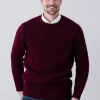 Longford Crew Neck - Bordeaux