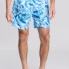 Mount Wellington Shorts - Marine