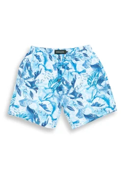 Mount Wellington Shorts - Marine