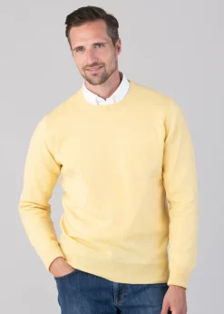 Oxton 1 Ply Cashmere Crew Neck - Lemon Frost