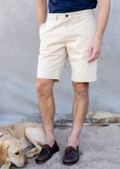 Paul Shorts - Cloud