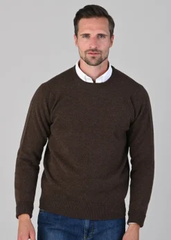 Rob 2 Ply Lambswool Crew Neck - Mocha