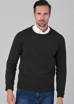 Rob 2 Ply Lambswool Crew Neck - Seaweed