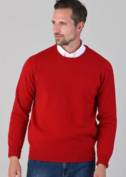 Rob 2 Ply Lambswool Crew Neck - Chianti