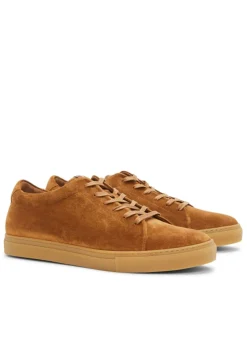 Surry Trainers - Tan