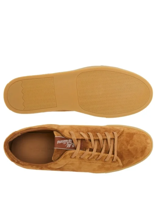 Surry Trainers - Tan